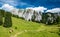 Herd of cows grazing on alpine meadow in summer. Steep slopes, huge limestone walls, panoramic peaks andÂ mountains withÂ valleys